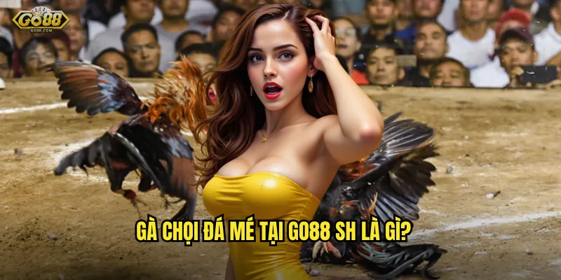 Gà chọi đá mé go88 sh - Thuật ngữ quan trọng trong làng đá gà chuyên nghiệp 2 Gà chọi đá mé tại go88 sh là gì?