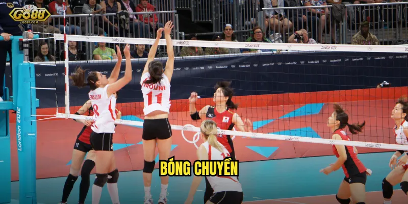bóng chuyền