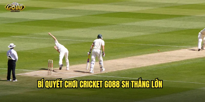 Bí quyết chơi cricket go88 sh thắng lớn