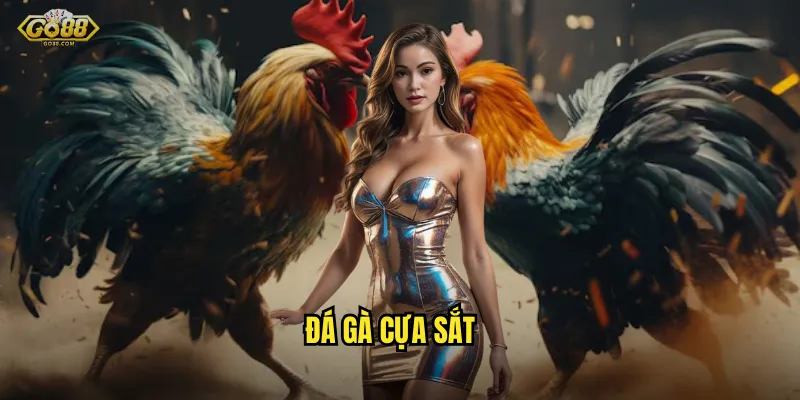 Đá gà cựa sắt go88 sh - Màn so găng kịch tính, cá cược đỉnh cao 5 đá gà cựa sắt